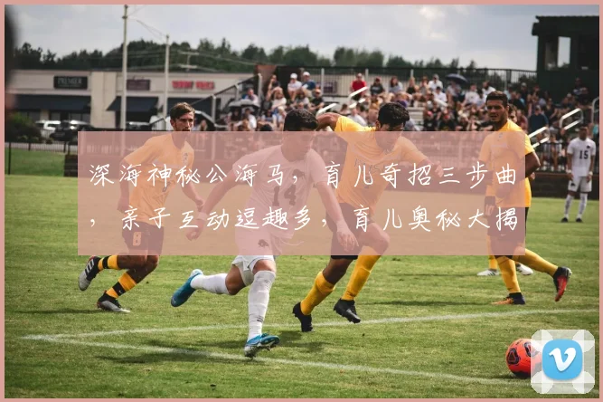 深海神秘公海马，育儿奇招三步曲，亲子互动逗趣多，育儿奥秘大揭秘，逗趣育儿新体验。