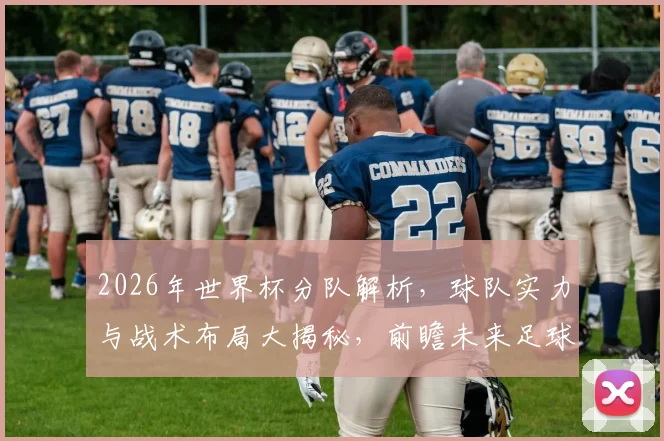 2026年世界杯分队解析，球队实力与战术布局大揭秘，前瞻未来足球盛宴