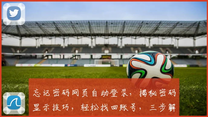 忘记密码网页自动登录，揭秘密码显示技巧，轻松找回账号，三步解锁大法，快速体验